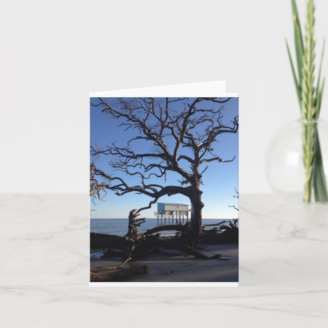 "little blue" notecard (Front)