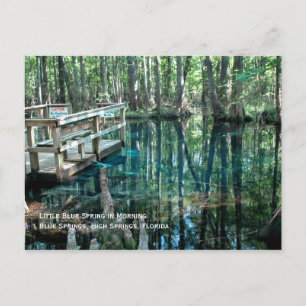 Little Blue Spring Postcard
