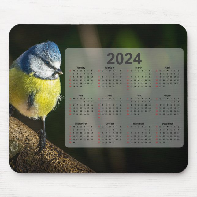Little Blue Tit Bird 2024 Calendar Mouse Pad (Front)