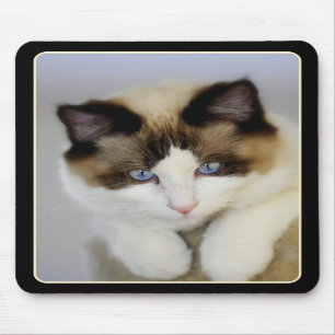 Little Boy Blue Mousepad