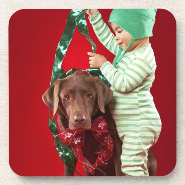 Little boy decorating a dog coaster (Front)
