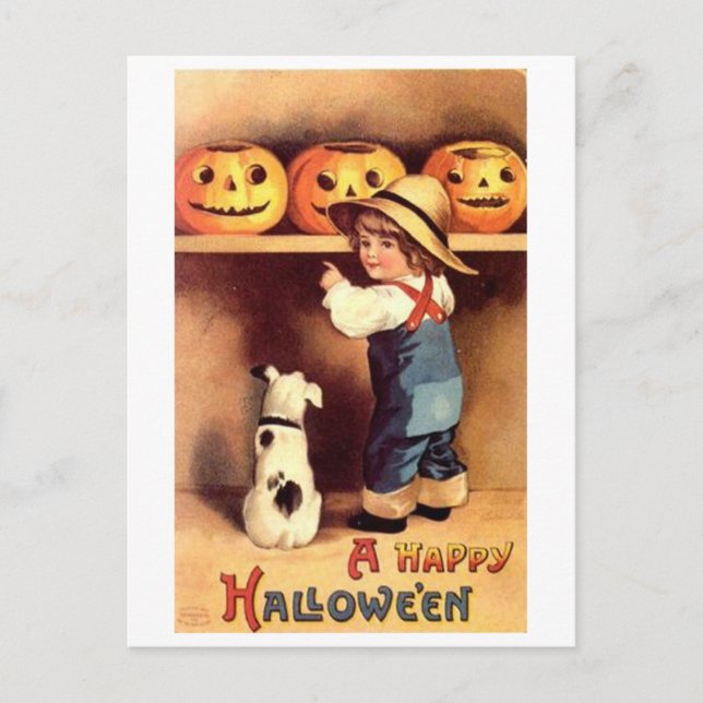Little Boy with Dog and Pumpkins Postcard (Front)
