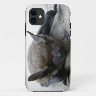 Little brown bat (Myotis lucifugus) Case-Mate iPhone Case