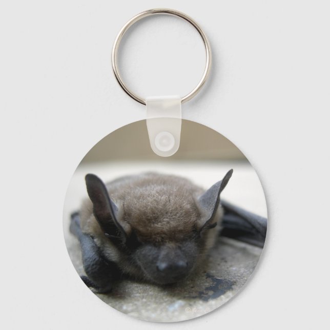 Little brown bat (Myotis lucifugus) Key Ring (Front)