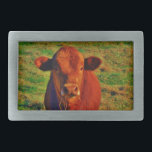 Little Brown Cow Bright Green Grass Belt Buckle<br><div class="desc">Little Brown Cow Bright Green Grass Brown cattle  Photo by Sandy Closs. "cow lovers", " i love cows",  "cow lover", "cowboy", cows,  "farm animals", calf,  bull,  lover, "cattle ", " country western" rodeo western country ranch "rustic america"</div>