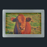 Little Brown Cow Bright Green Grass Belt Buckle<br><div class="desc">Little Brown Cow Bright Green Grass Brown cattle  Photo by Sandy Closs. "cow lovers", " i love cows",  "cow lover", "cowboy", cows,  "farm animals", calf,  bull,  lover, "cattle ", " country western" rodeo western country ranch "rustic america"</div>