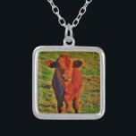 Little Brown Cow Bright Green Grass Silver Plated Necklace<br><div class="desc">Little Brown Cow Bright Green Grass Brown cattle  Photo by Sandy Closs. "cow lovers", " i love cows",  "cow lover", "cowboy", cows,  "farm animals", calf,  bull,  lover, "cattle ", " country western" rodeo western country ranch "rustic america"</div>