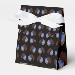 Little Brown Guinea Pig, Birthday Favour Box