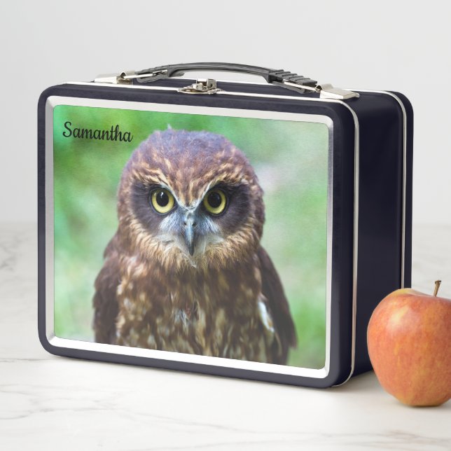 Little Brown Owl Metal Lunchbox (In Situ)