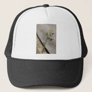 Little Bug, Little Flower Trucker Hat