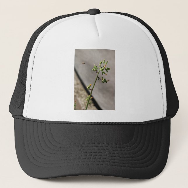 Little Bug, Little Flower Trucker Hat (Front)