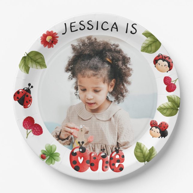 Little Bug Pink Ladybug 1st Birthday Photo Paper Plate (Front)