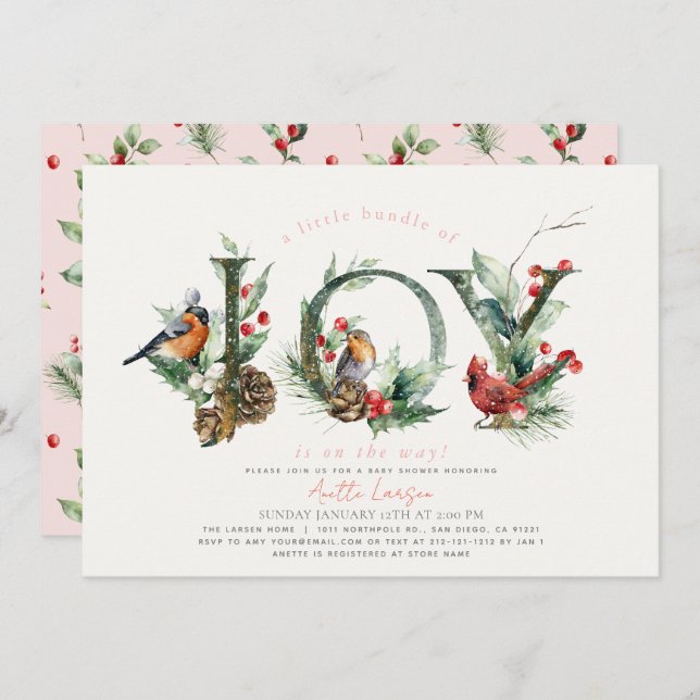 Little Bundle of Joy Birds Pink Girl Baby Shower Invitation (Front/Back)