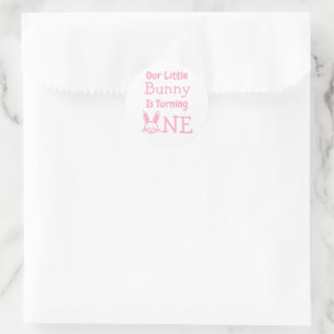 Little Bunny First Birthday Classic Round Sticker
