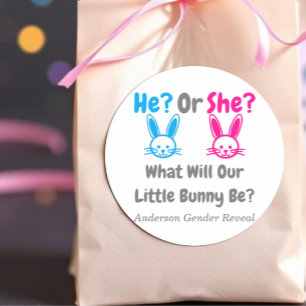 Little Bunny Gender Reveal Classic Round Sticker