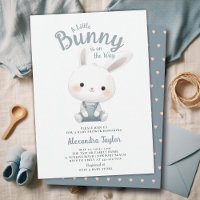 Little Bunny Overalls Cute Garden Baby Boy Shower