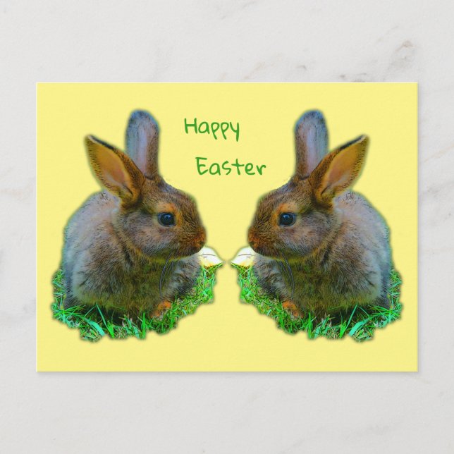 Little Bunny Postcard (Front)