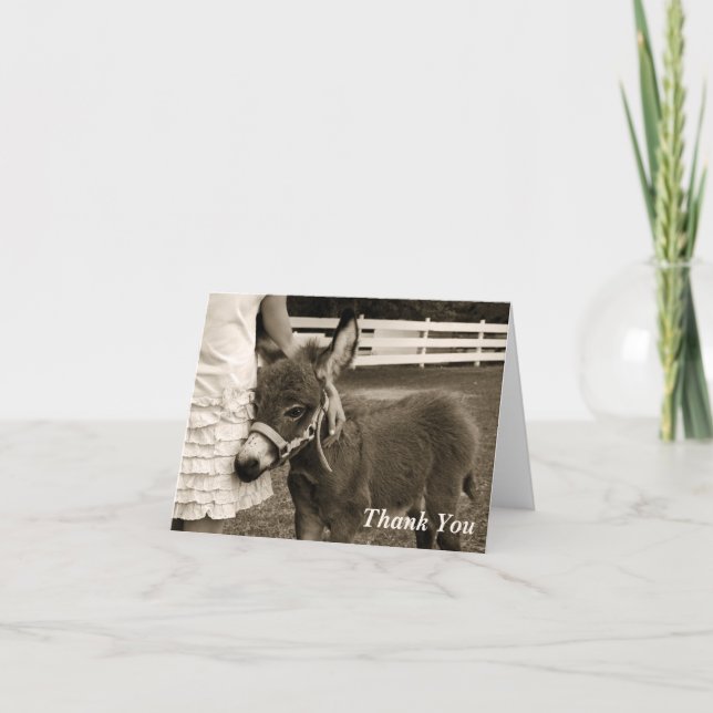 Little Burro Thank You Card (Front)