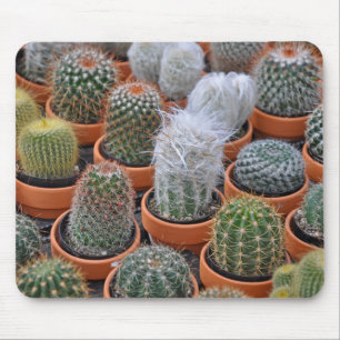 Little cactus plants mouse pad