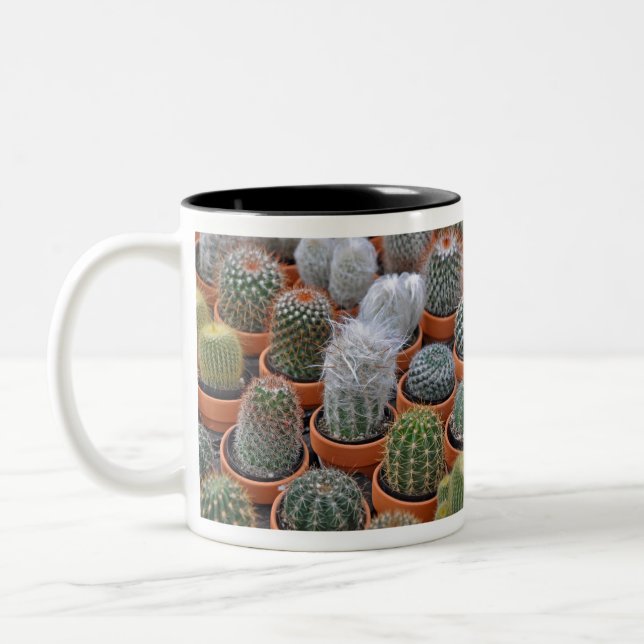 Little cactus plants Two-Tone coffee mug (Left)