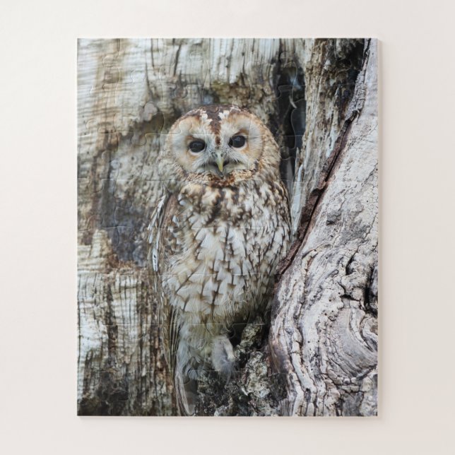 Little Camouflage Owl in Tree Jigsaw Puzzle (Vertical)