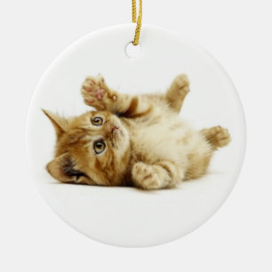 LITTLE CAT CERAMIC TREE DECORATION