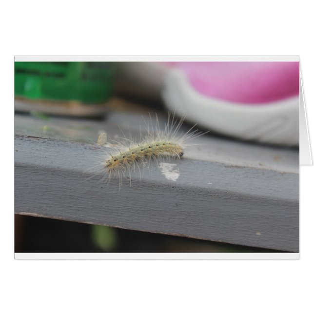 Little Caterpillar (Front Horizontal)