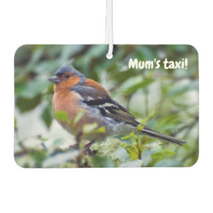 Little Chaffinch Car air freshener