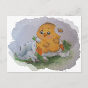 Little chicken postcard