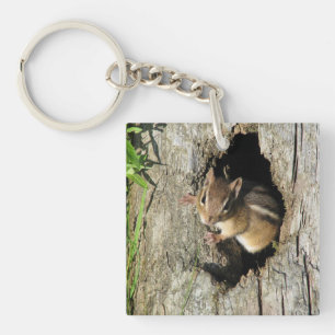 Little Chipmunk Key Ring