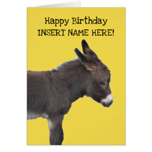 Little Chocolate Brown Donkey Baby Foal