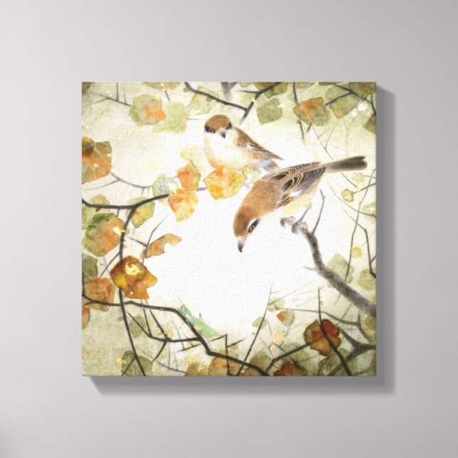 Little Creature-Bull-headed Shrikes Canvas Print (Front)