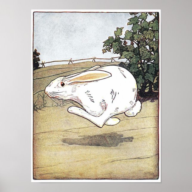 Little Critters Children's Book Illustration Poste Poster (Front)