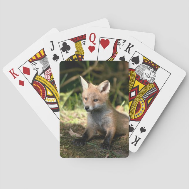 Little Cub Red Fox Playing Cards (Back)
