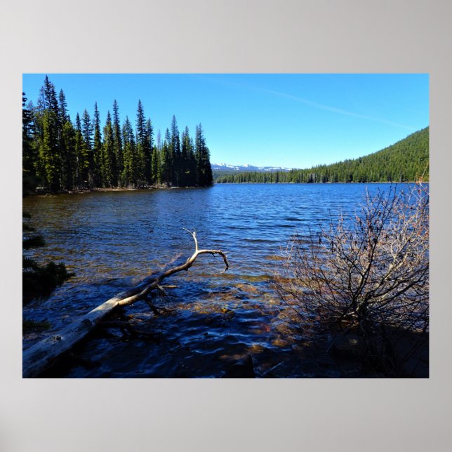 Little Cultus Lake, OR Poster (Front)