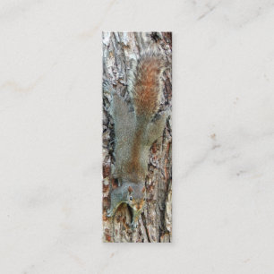 Little Cute Squirrel Mini Business Card