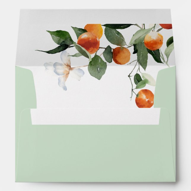 Little cutie baby shower invitation 5x7 envelope (Back (Bottom))