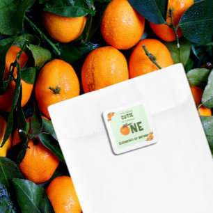 Little Cutie Orange 1st Birthday Square Sticker