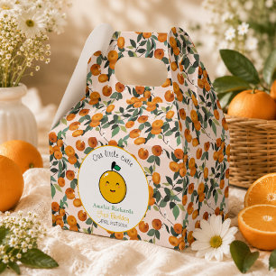  Little Cutie Orange Citrus 1st Birthday  Favour Box