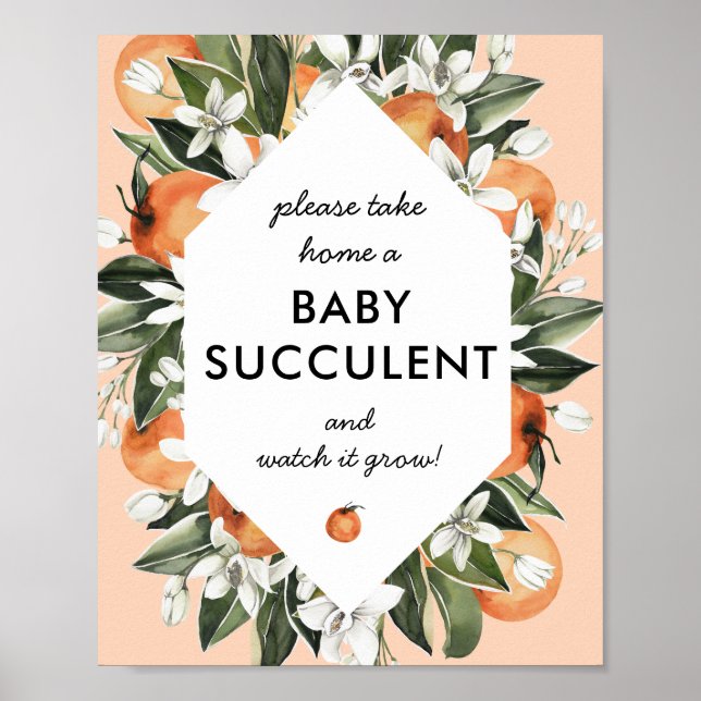 Little Cutie Succulent Baby Shower Favours Sign (Front)