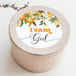 Little cutie Team girl gender reveal Classic Round Sticker