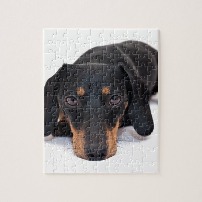 Little Dachshund Jigsaw Puzzle (Vertical)