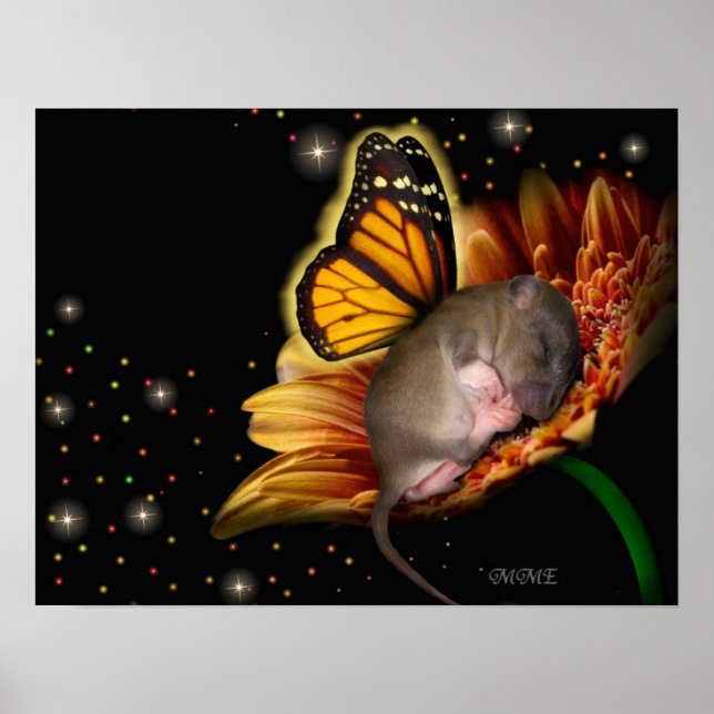 Little Daisy Dreamer Poster (Front)