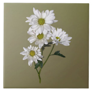 Little Daisy Looking Up Tile