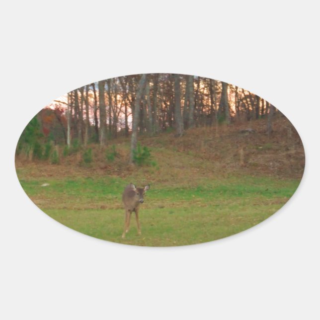 Little Deer &a Pink Sunset Oval Sticker (Front)