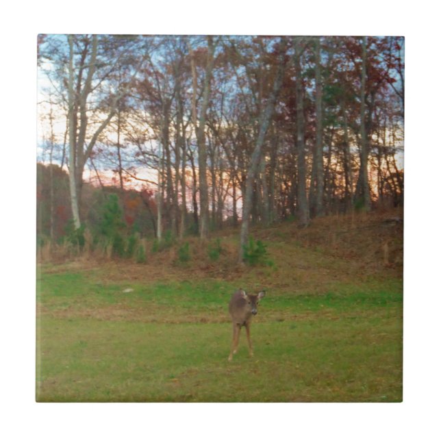 Little Deer &a Pink Sunset Tile (Front)