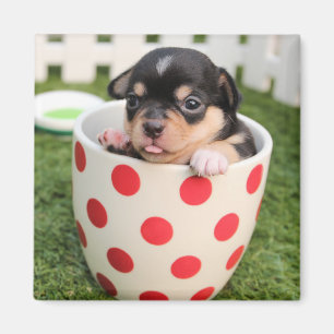 Little doggy in the cup magnet