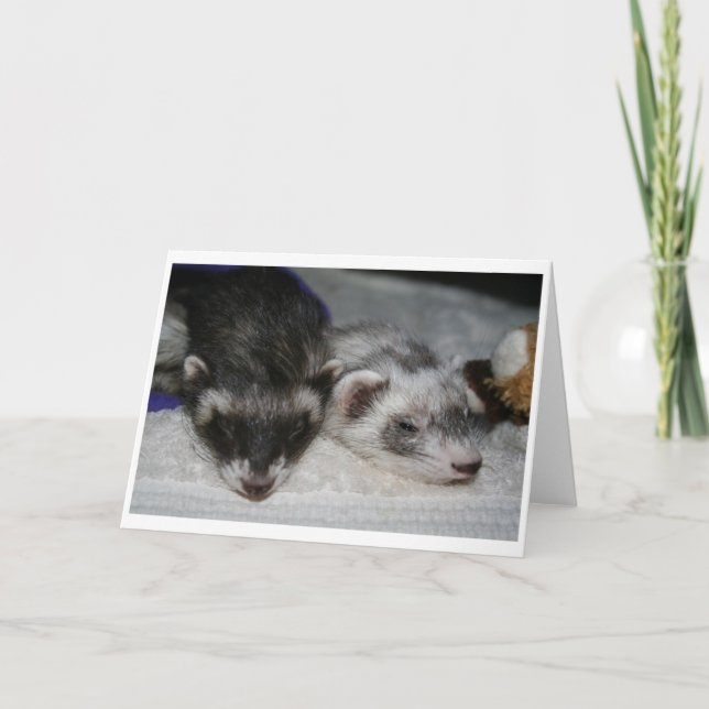 Little Dooks Sleepers Greetings Cards (Front)