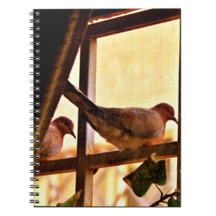 Little Doves Notebook