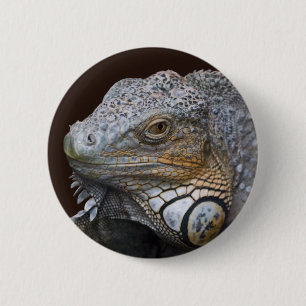 Little Dragon Bag 6 Cm Round Badge